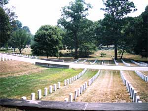 Robert E. Lee's backyard, AKA Arlington National Cemetery